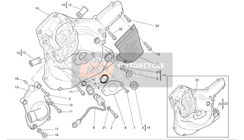 Ducati MONSTER S4R Usa 2005 Wasserpumpe - Generatorabdeckung 1 für ein 2005 Ducati MONSTER S4R Usa