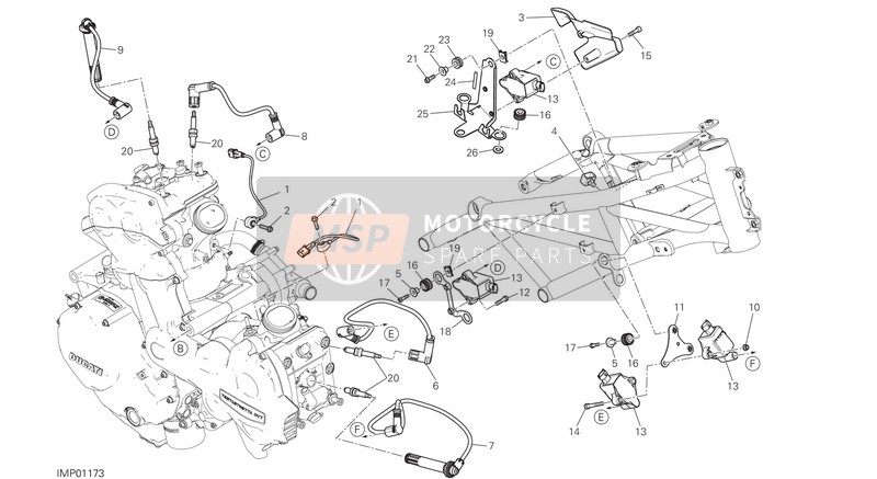 Ducati Multistrada 1260 Enduro EU 2020 Wiring Harness (Coil) for a 2020 Ducati Multistrada 1260 Enduro EU