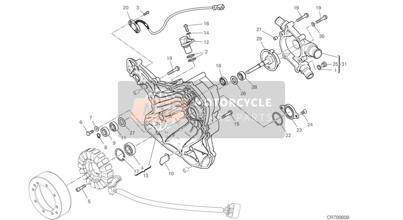 Ducati Multistrada 1260 Enduro USA 2019 Coperchio del generatore per un 2019 Ducati Multistrada 1260 Enduro USA