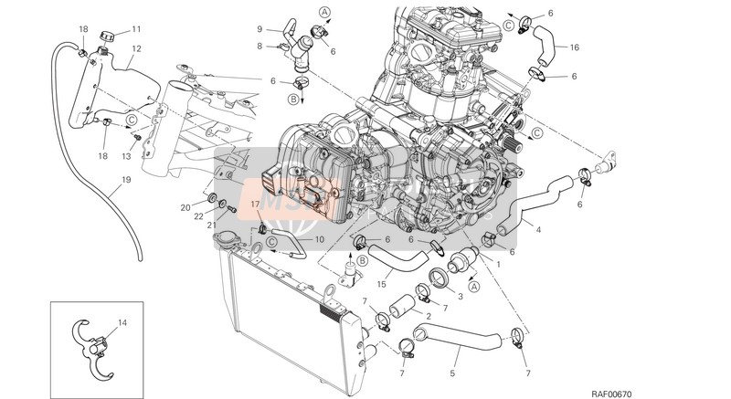 Ducati MULTISTRADA 950 S SPOKED WHEELS EU 2019 Circuit de refroidissement pour un 2019 Ducati MULTISTRADA 950 S SPOKED WHEELS EU