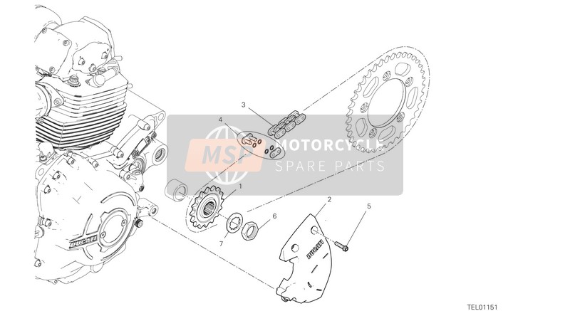 Ducati SCRAMBLER 1100 SPECIAL EU 2019 FRONT SPROCKET - CHAIN for a 2019 Ducati SCRAMBLER 1100 SPECIAL EU