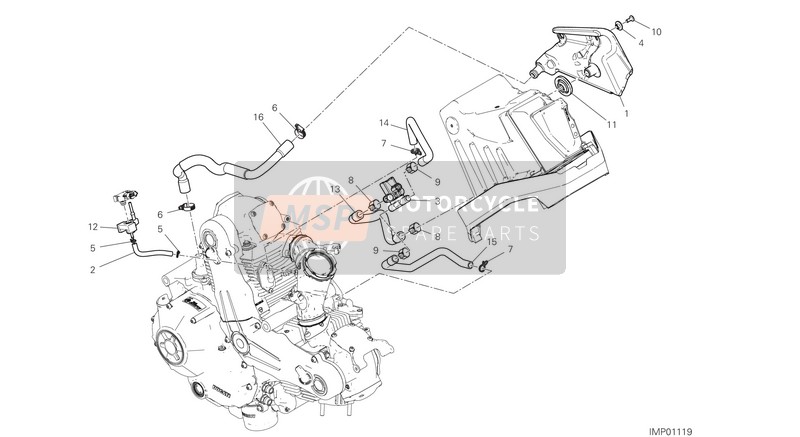 Ducati SCRAMBLER 1100 SPECIAL USA 2018 SECONDARY AIR SYSTEM for a 2018 Ducati SCRAMBLER 1100 SPECIAL USA