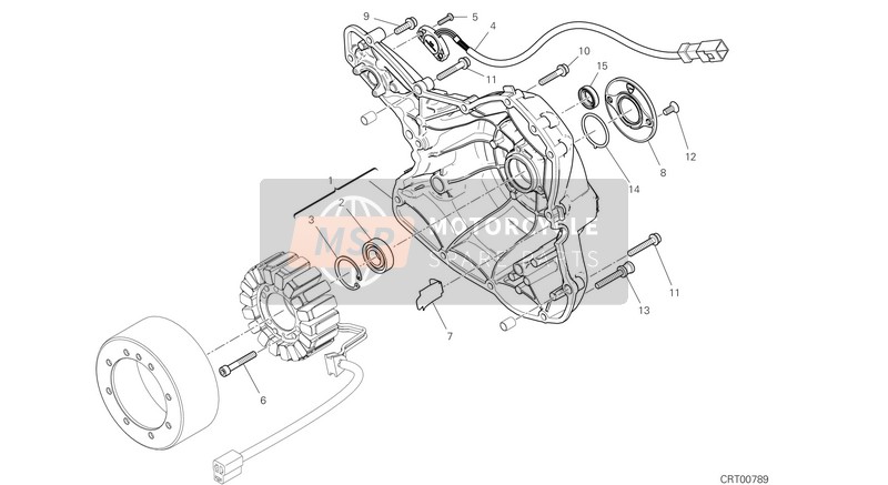 Ducati SCRAMBLER 1100 SPORT USA 2018 Coperchio del generatore per un 2018 Ducati SCRAMBLER 1100 SPORT USA