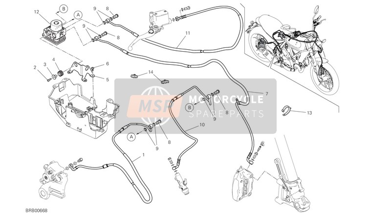 Ducati SCRAMBLER 800 ICON 2021 ABS Bremsanlage für ein 2021 Ducati SCRAMBLER 800 ICON