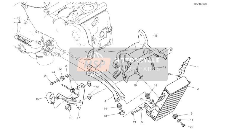 8301F081BA, Supporto Radiatore Olio, Ducati, 0