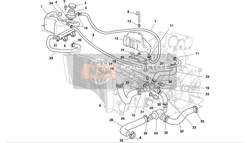 Ducati SUPERBIKE 748R Usa 2002 Cooling Circuit for a 2002 Ducati SUPERBIKE 748R Usa
