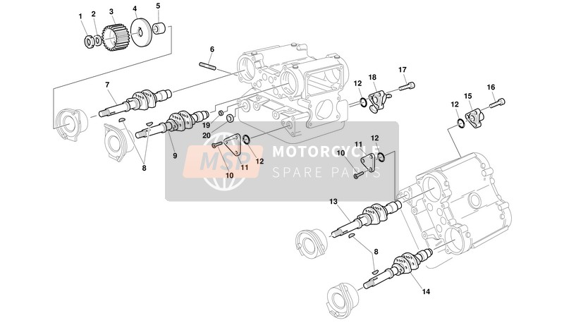 Ducati SUPERBIKE 996S Usa 2001 Kopf für ein 2001 Ducati SUPERBIKE 996S Usa