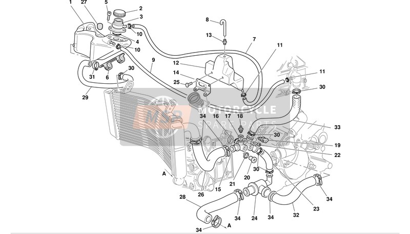 Ducati SUPERBIKE 998S BOSTROM Usa 2002 Circuit de refroidissement pour un 2002 Ducati SUPERBIKE 998S BOSTROM Usa