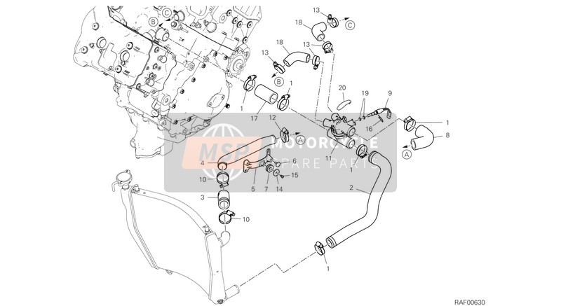 Ducati SUPERBIKE PANIGALE  V4 EU 2020 Cooling Circuit for a 2020 Ducati SUPERBIKE PANIGALE  V4 EU