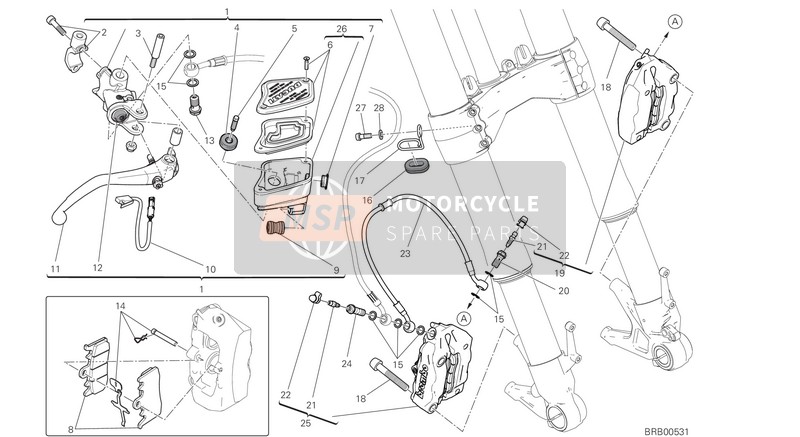 61810511A, Hose, Front Brake CALIPER-CALIPER, Ducati, 0