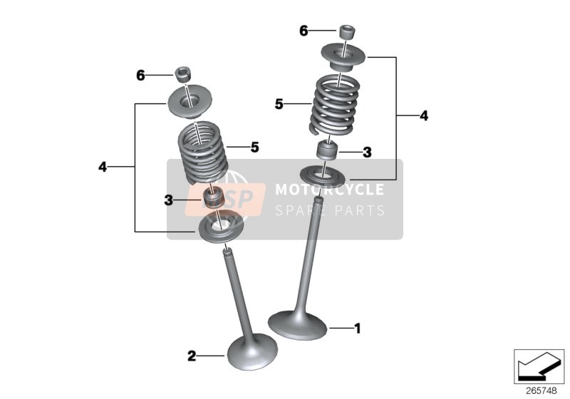 BMW C 600 Sport (0131, 0132) 2013 VALVES WITH SPRINGS for a 2013 BMW C 600 Sport (0131, 0132)