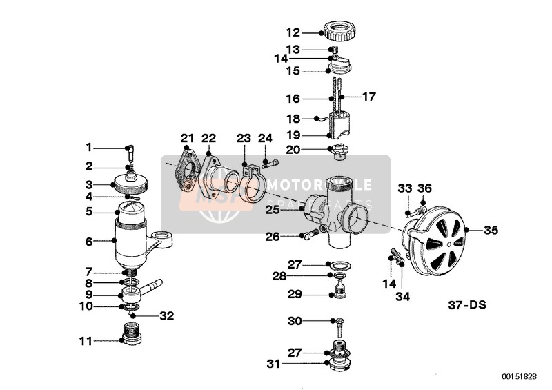 13115590036, Corred.Guarniz.Carburatore, BMW, 0