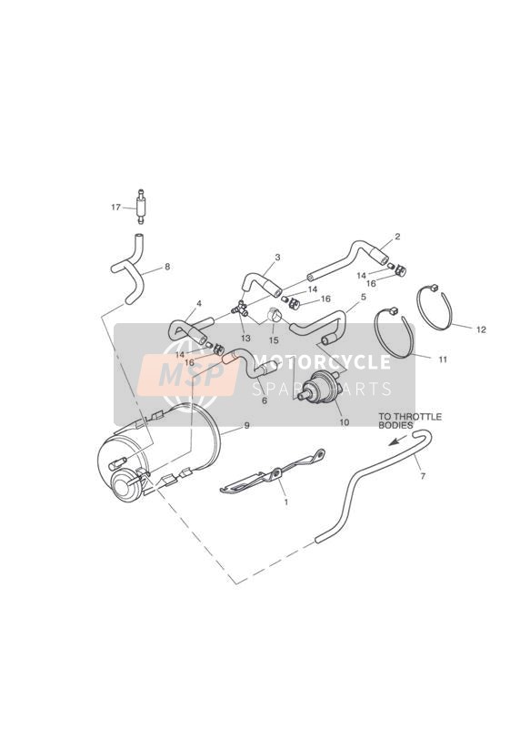 T2400160, Carbon Canister, Triumph, 2