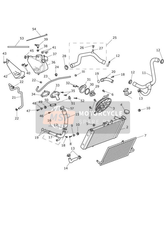 T3700440, Clip, Hose, 11-12.5mm, Triumph, 1