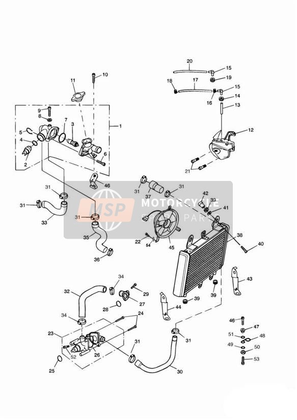 T2102112, Hose Clip, 16-27, Bright, Ss, Triumph, 2