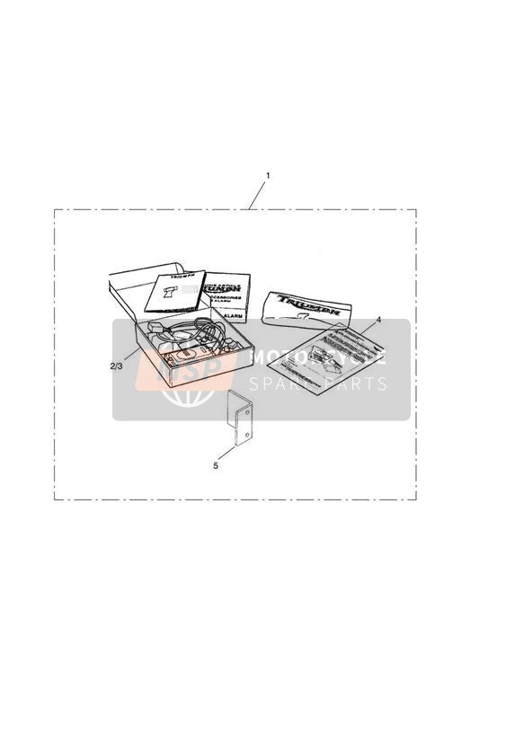 A9800023, Alarm Key Std, Triumph, 2