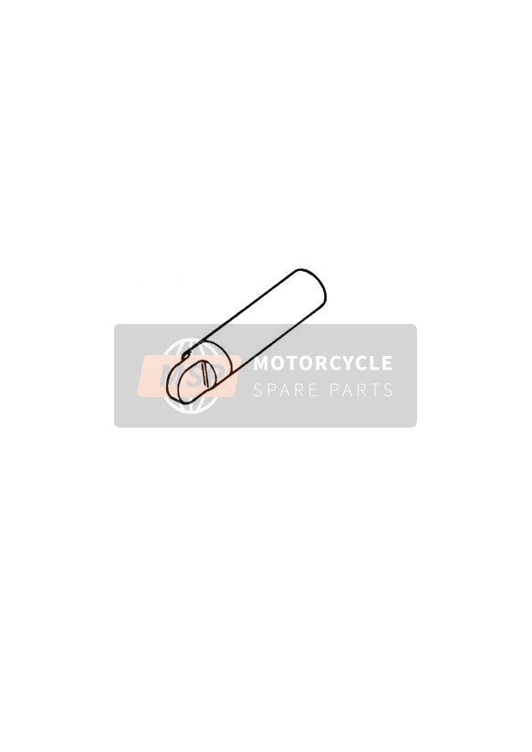 Ausbesserungslack