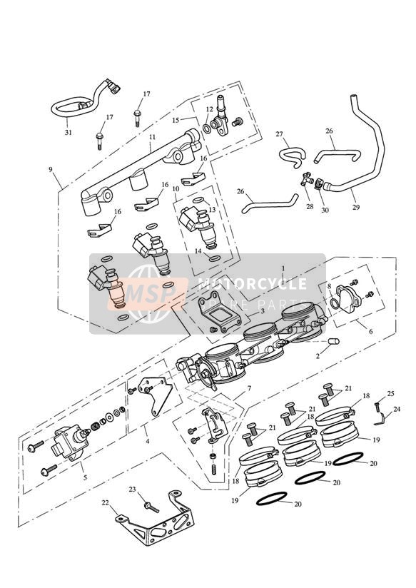 Papillons d'injection et rampe de carburant