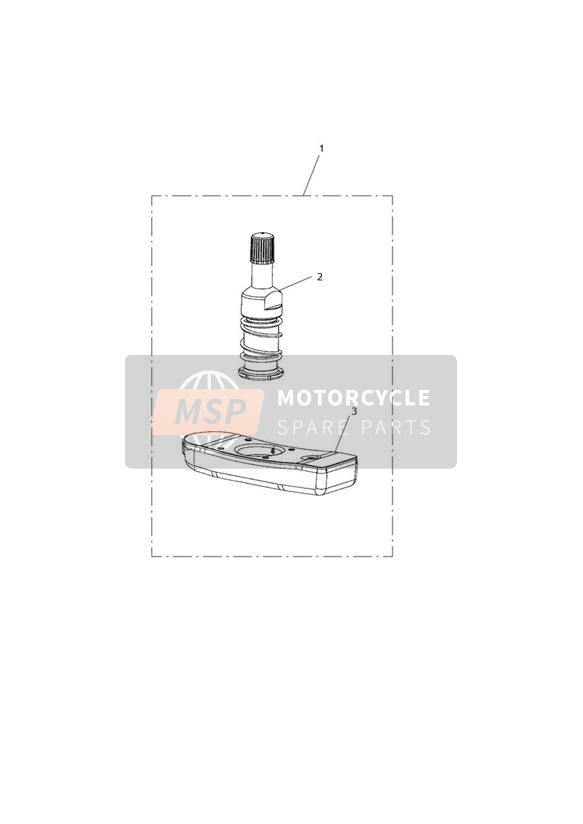 TPMS, Giappone e Hong Kong