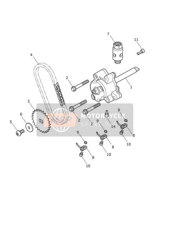 Oil Pump & Drive