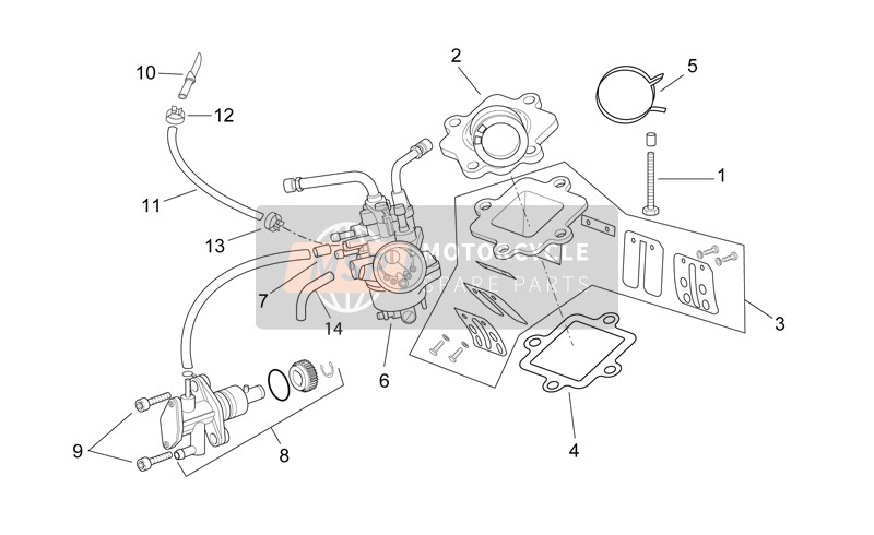 Carburettor - Oil Pump Assembly