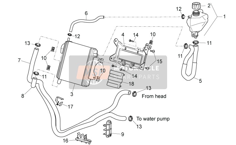 Aprilia SR 50 R H2O 2T E4 (EMEA) 2018 Cooling System for a 2018 Aprilia SR 50 R H2O 2T E4 (EMEA)