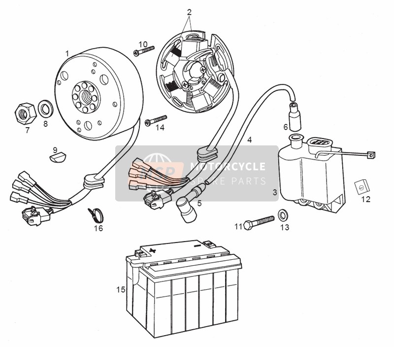 Cdi Magnets Assembly