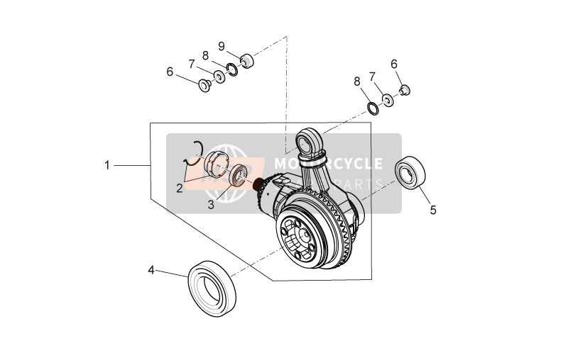 Trans.cpl - Bevel Gear