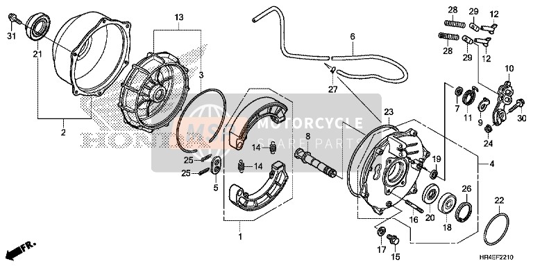 Honda TRX500FE1 2017 Rear Brake Panel for a 2017 Honda TRX500FE1