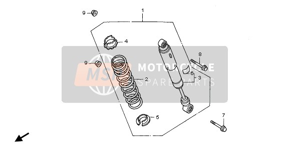 FEDERBEIN HINTEN