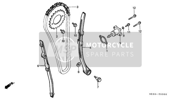 Cam Chain/Tensioner