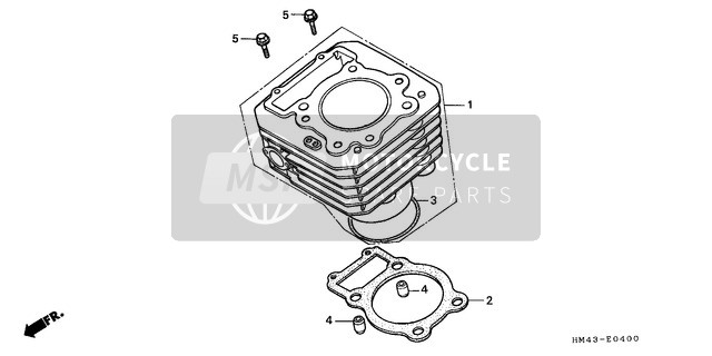 Honda TRX300FW 1996 Cilindro per un 1996 Honda TRX300FW
