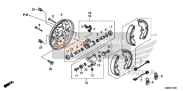 Honda TRX250TM 2014 Front Brake Panel for a 2014 Honda TRX250TM