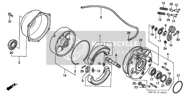 Honda TRX400FW 1996 Rear Brake Panel for a 1996 Honda TRX400FW