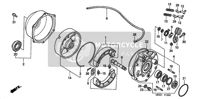 Rear Brake Panel