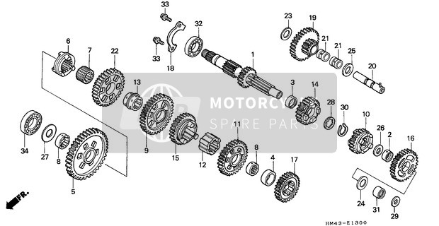 Honda TRX300FW 1996 Trasmissione per un 1996 Honda TRX300FW