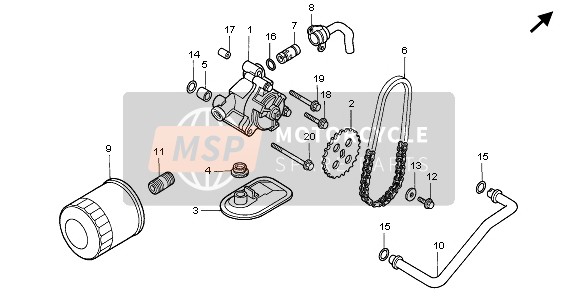 Honda VT1100C 1995 OIL FILTER & OIL PUMP for a 1995 Honda VT1100C