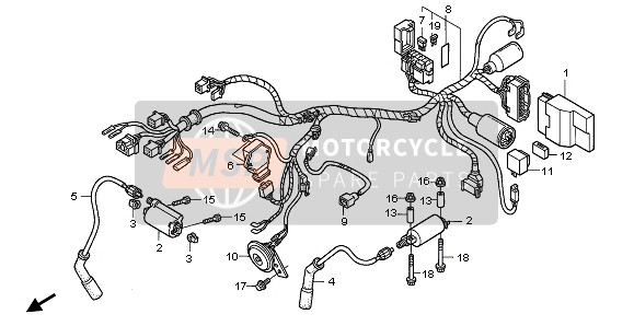 WIRE HARNESS & IGNITION COIL