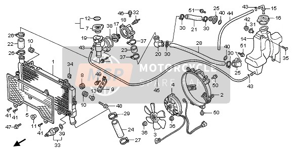 19106GE2000, Adapter, Reserve Cap, Honda, 1