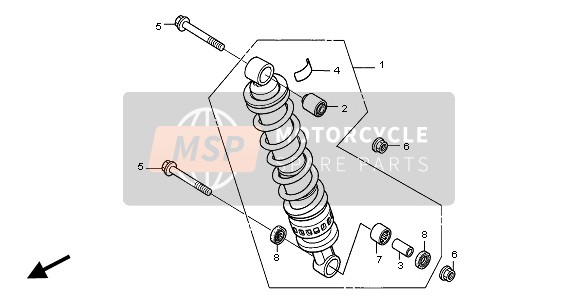 FEDERBEIN HINTEN