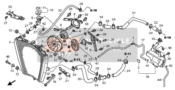 19502MFJD00, Hose, R. Radiator Upper, Honda, 1