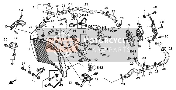 19511MFJA50, Hose, L. Radiator Upper, Honda, 0