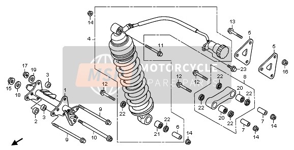 FEDERBEIN HINTEN