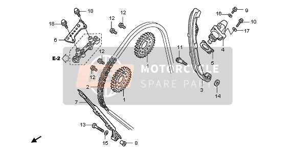 CAM CHAIN & TENSIONER