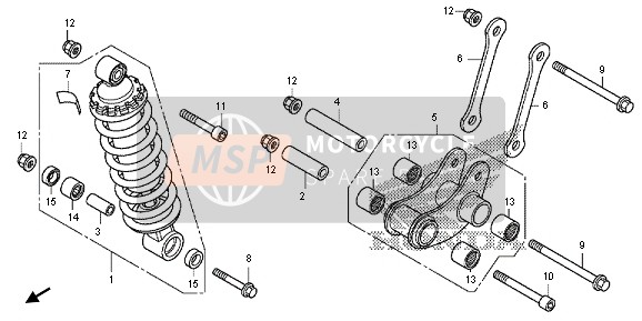 FEDERBEIN HINTEN