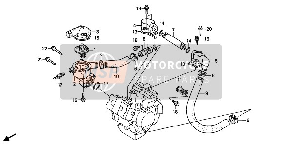 Honda VFR400R3 1990 Tubería de agua para un 1990 Honda VFR400R3