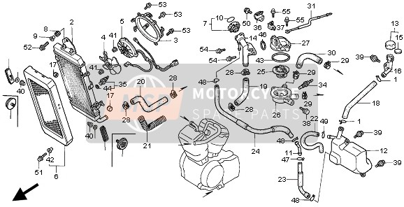 Honda VT1100C2 1997 RADIATOR for a 1997 Honda VT1100C2