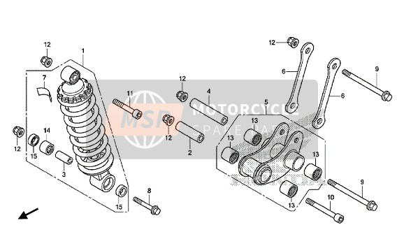 FEDERBEIN HINTEN