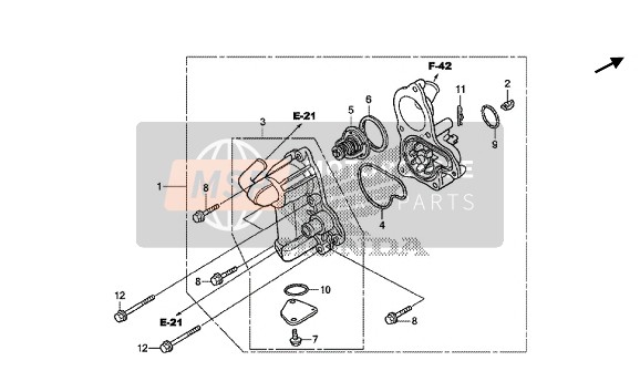 Honda GL1800B 2016 WASSERPUMPE für ein 2016 Honda GL1800B