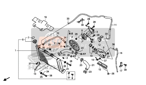 19511R9G004, Clip, Water Hose, Honda, 2